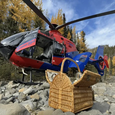 gemini heli 4